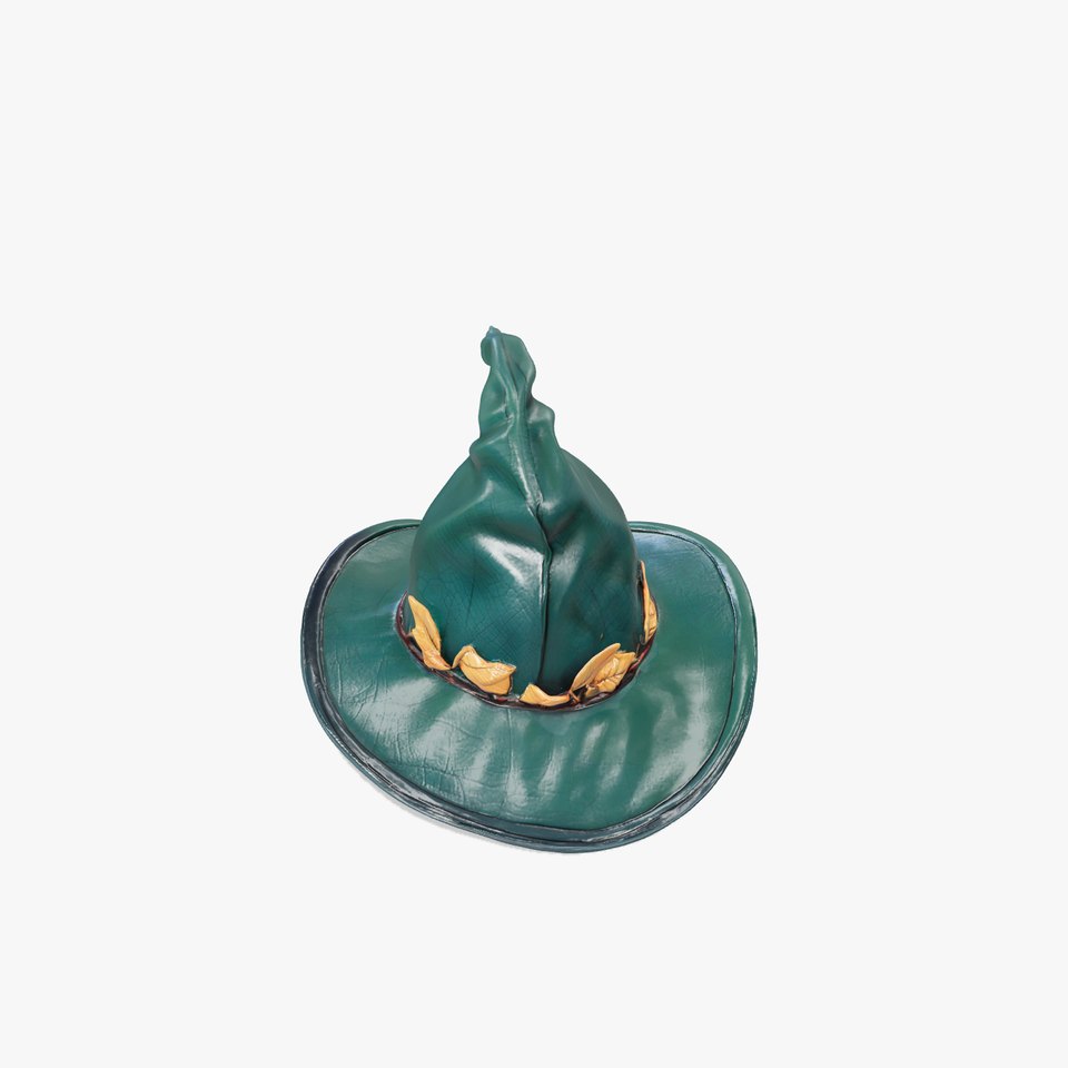 Enchanted Sorcerers Hat with Leaf Motif model pack
